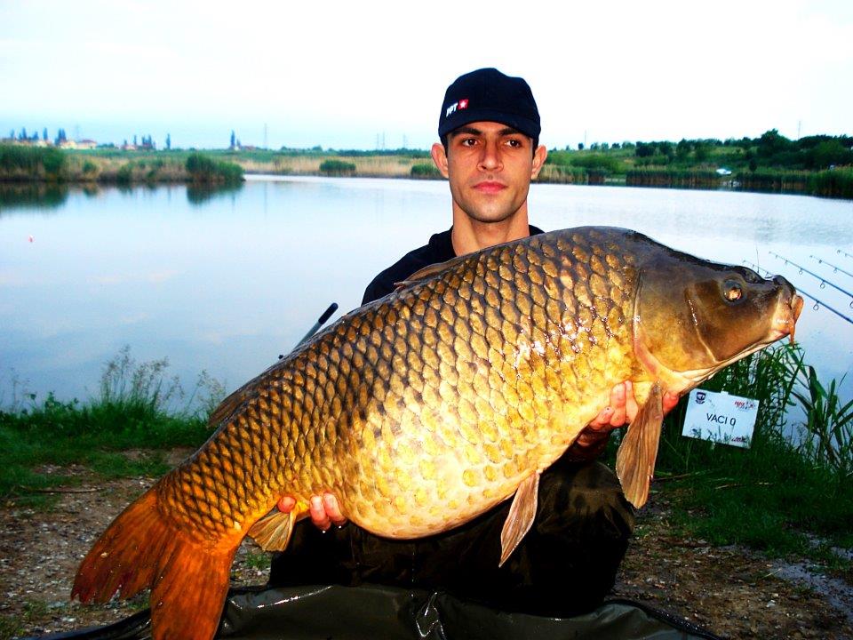 crapi tancabesti - crap-prins-la-tancabesti.jpg